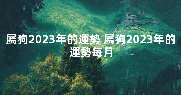 屬狗2023年的運勢 屬狗2023年的運勢每月